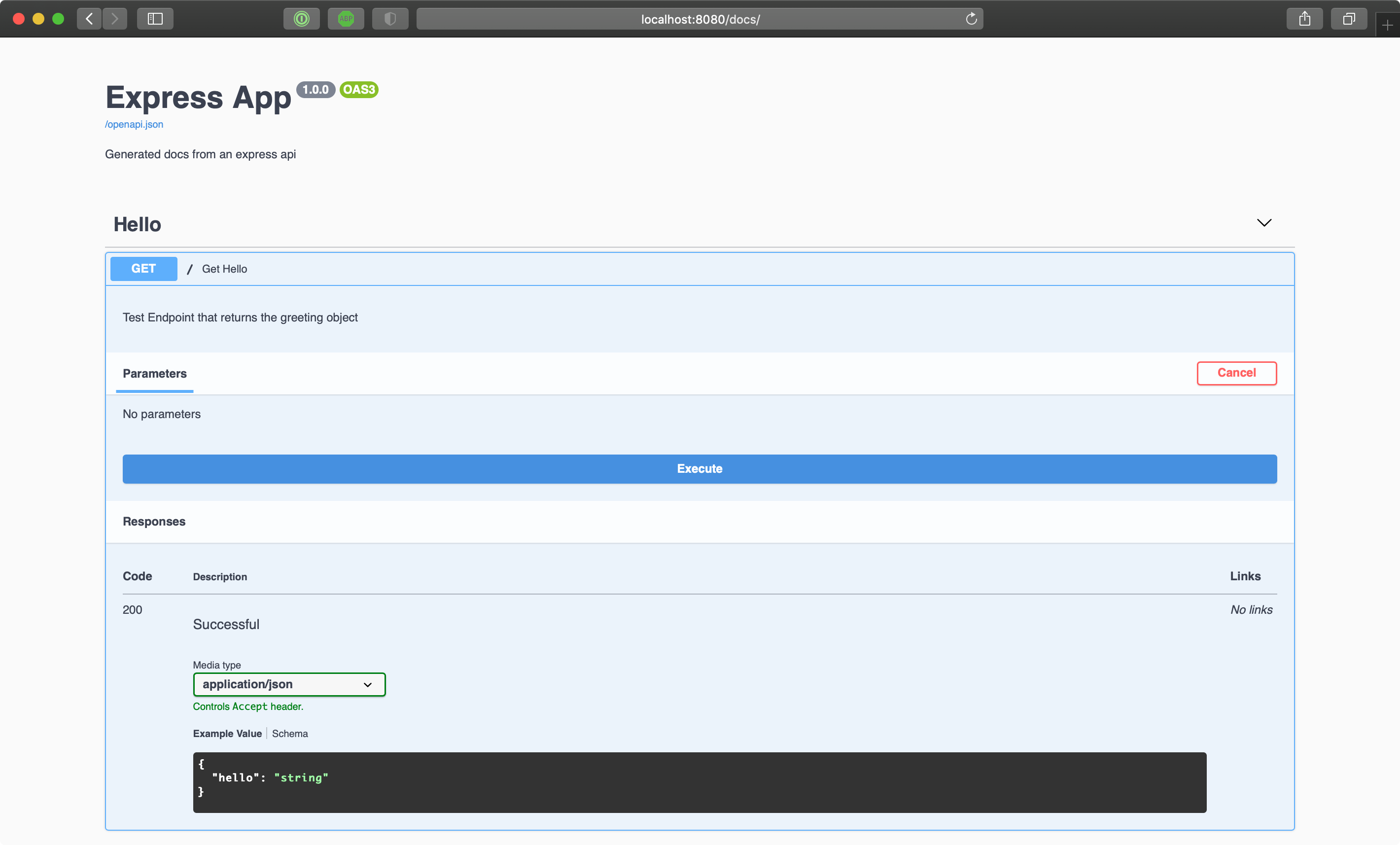 Screenshot of swagger api docs page