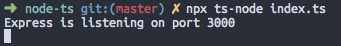 Screenshot of npm ts-node index.ts output