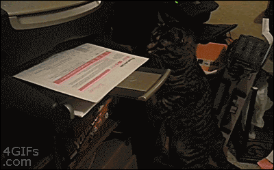 Compiling Node.js on Raspberry Pi
